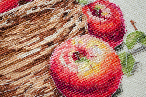 Apple Composition Cross Stitch Kit, Abris Art, 23x22 cm, 14 Count Cream Canvas, 29 Colors, SAGA-Compatible Pattern