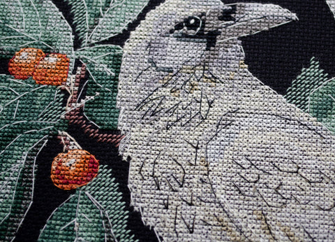 Cross Stitch Kit Animal Design, 14 Count Black Canvas, 29 x 29 cm, 26 Colors, Abris Art “Kita grožybė” Deco Scenes