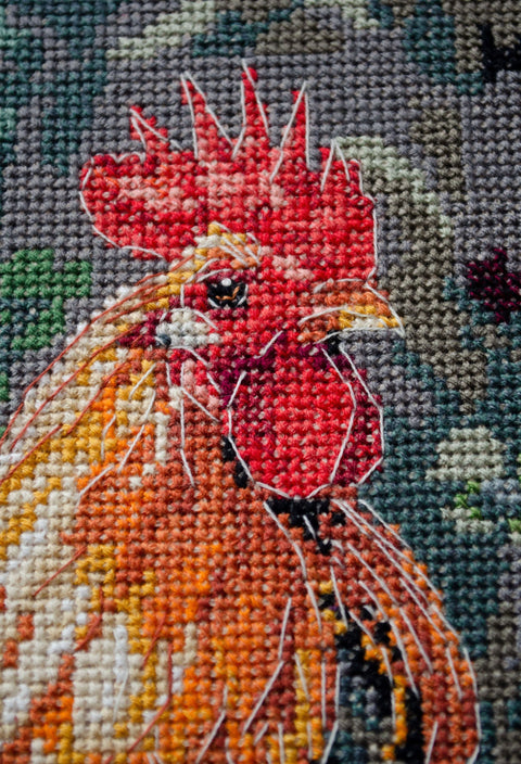 Cross Stitch Kit Rooster in the Yard, Abris Art, 14 Count Coffee Canvas, Animal Design, 23 x 30 cm, 38 Colors