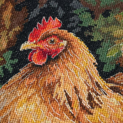 Cross Stitch Kit Chicken in the Yard, Abris Art, 23x30 cm, Zweigart Aida 14 ct, 35-Color Cotton Floss, Animal Design