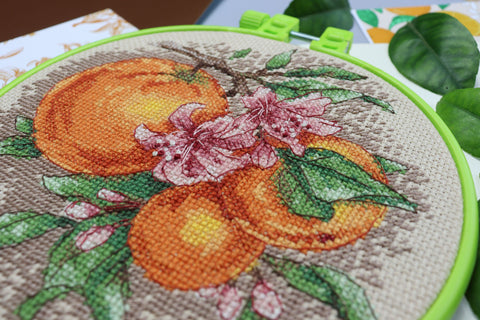 Cross Stitch Kit with Hoop, Citrus Fruits Design, 17 x 17 cm, Abris Art, Cotton Canvas, 17-Color Floss, Kitchen Decor
