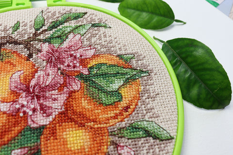 Cross Stitch Kit with Hoop, Citrus Fruits Design, 17 x 17 cm, Abris Art, Cotton Canvas, 17-Color Floss, Kitchen Decor