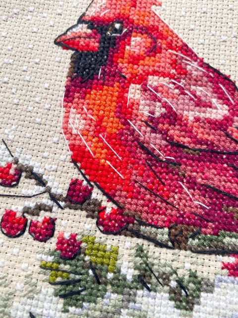 Winter Cardinal Cross Stitch Kit, 15 x 15 cm, Aida 14 Count Coffee Fabric, 19-Color Cotton Threads, Abris Art