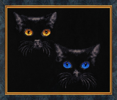 S011 Shining Eyes Cross Stitch Kit from Golden Fleece