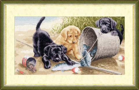 NL020 Cheerful Game Cross Stitch Kit from Golden Fleece