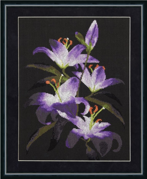 NA006  Cross Stitch Kit from Golden Fleece