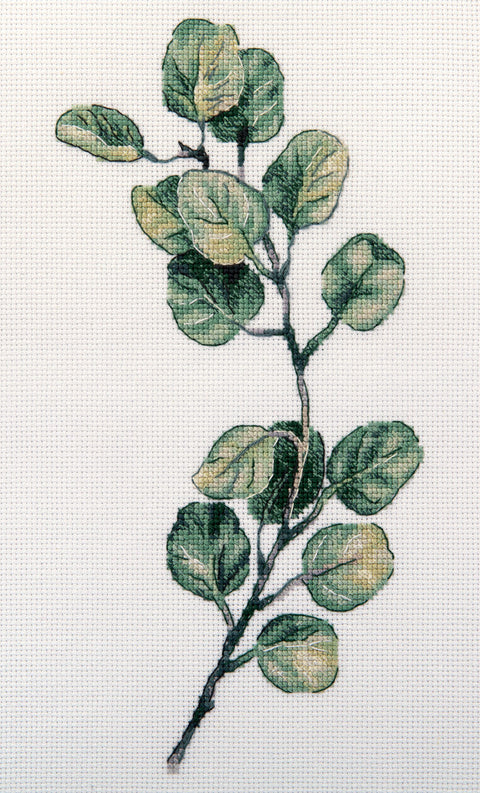 Eucalyptus Branch Cross Stitch Kit, Botanical Embroidery Pattern with Aida Fabric, Cotton Floss, Needle and Instructions by PANNA/ KLART