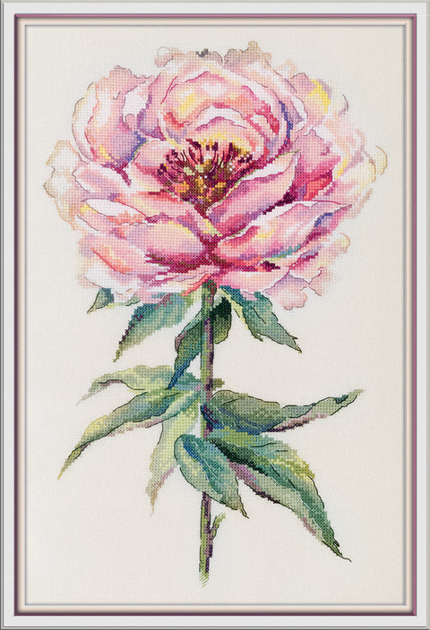 Cross Stitch Embroidery Kit Peony Design, PANNA / KLART, Finished Size 25.5 × 38.5 cm, Wall Art Project for Framing