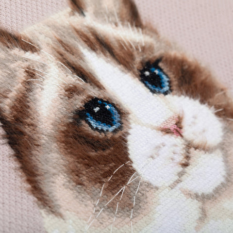 Ragdoll Cat Cross Stitch Kit, Counted Cross Stitch, PANNA, Multicolor Cotton Aida, 19.5 × 24.5 cm