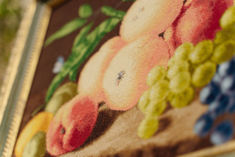 Zolotoe Runo Fruit Cross Stitch Kit, Complete Set with Aida Canvas, Cotton Threads, Needle and Pattern, Multicolor Wall Decor Embroidery