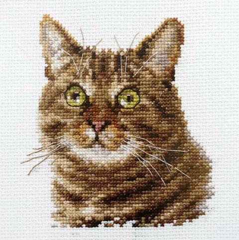Alisa siuvinėjimo rinkinys Katės akys, Aida 14, 11x12 cm