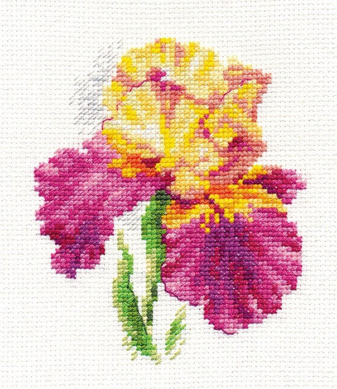Siuvinėjimo rinkinys Irisai, Aida 14, 10x12 cm