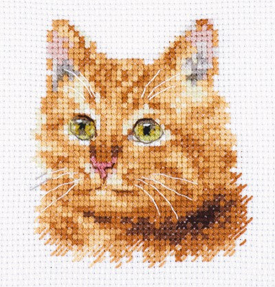 Kryželių siuvinėjimo rinkinys Ryžas katinas, 8x8 cm, Aida 14