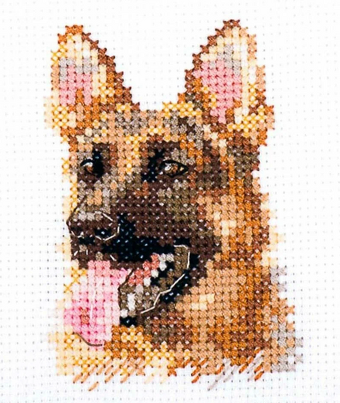 Kryželių siuvinėjimo rinkinys Aviganio portretas, Aida 14, 6x8 cm