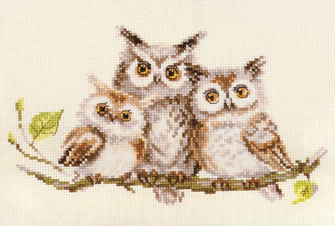 Siuvinėjimo rinkinys Pelėdos, Aida 14, 22x13 cm