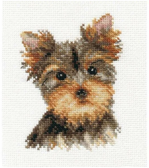 Siuvinėjimo kryželiu rinkinys su balta Aida 14, 10x13 cm