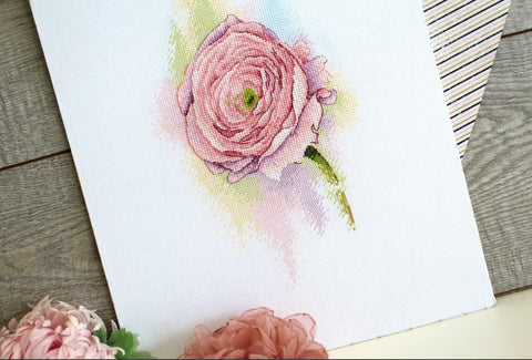 Cross Stitch Kit with Ranunculus Flower Motif, DMC Threads, Linda 27 Fabric, 17 Colors, MP Studia