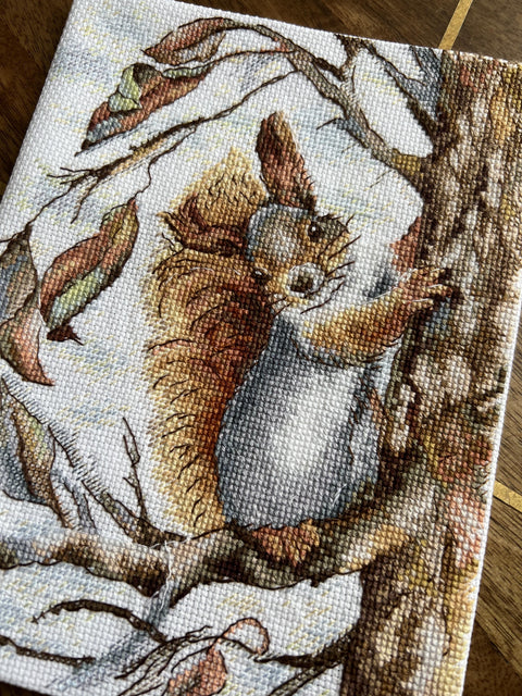Squirrel Cross Stitch Kit with Aida Canvas, Cotton Floss, Needle and Color Chart, Andriana, Autumn Nature Design, Beginner Friendly