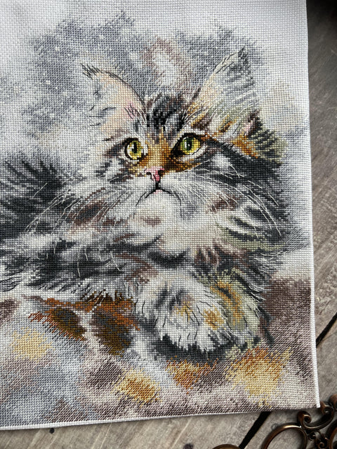 Cross Stitch Kit with Gray Cat Design, Andriana Embroidery Set for Relaxing Hobby and Wall Decor