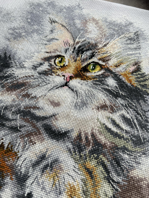Cross Stitch Kit with Gray Cat Design, Andriana Embroidery Set for Relaxing Hobby and Wall Decor