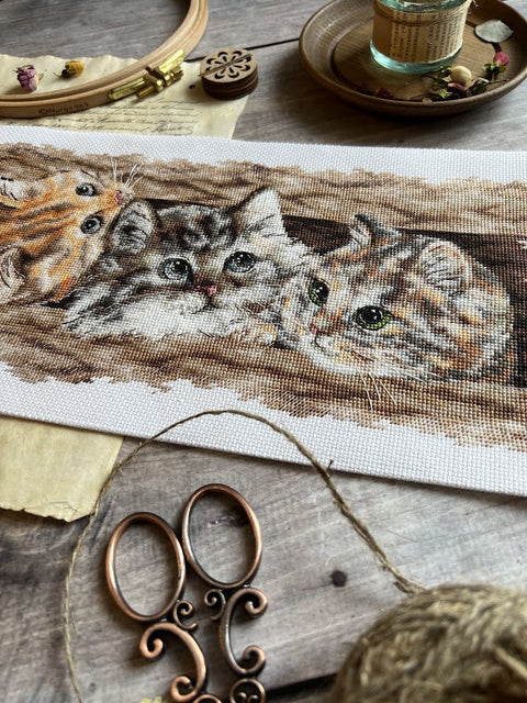 Cross Stitch Kit with Fluffy Trio Design, 35 × 14.5 cm, Multicolor Aida Canvas, Cotton Threads, Andriana