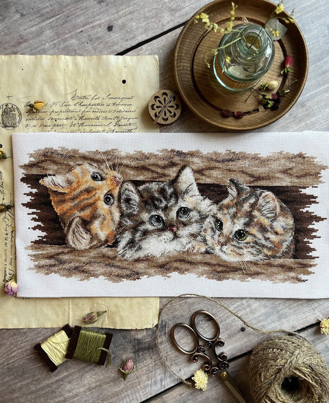 Cross Stitch Kit with Fluffy Trio Design, 35 × 14.5 cm, Multicolor Aida Canvas, Cotton Threads, Andriana