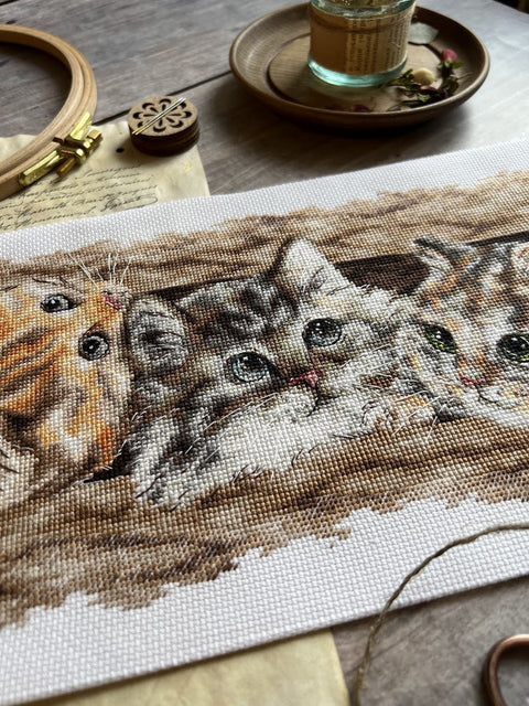 Cross Stitch Kit with Fluffy Trio Design, 35 × 14.5 cm, Multicolor Aida Canvas, Cotton Threads, Andriana