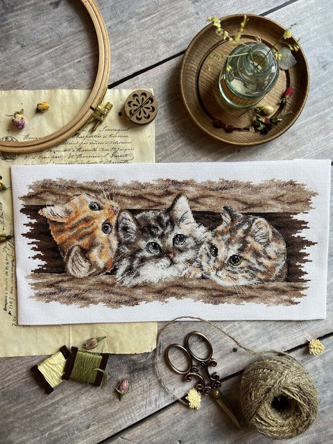Cross Stitch Kit with Fluffy Trio Design, 35 × 14.5 cm, Multicolor Aida Canvas, Cotton Threads, Andriana