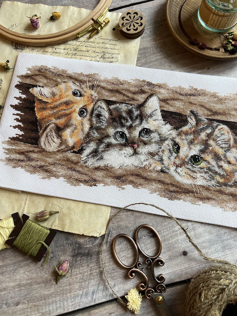 Cross Stitch Kit with Fluffy Trio Design, 35 × 14.5 cm, Multicolor Aida Canvas, Cotton Threads, Andriana