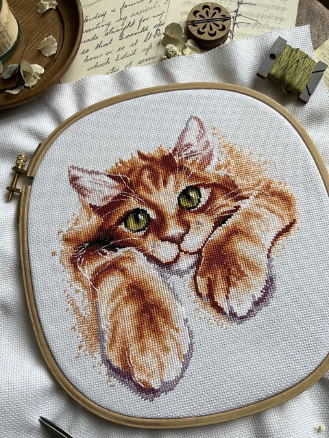 Cross Stitch Kit with Red Motif, Andriana Embroidery Set, Aida Cotton Fabric, Cotton Floss, 17 × 18.5 cm Finished Size