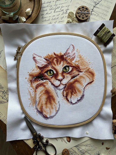 Cross Stitch Kit with Red Motif, Andriana Embroidery Set, Aida Cotton Fabric, Cotton Floss, 17 × 18.5 cm Finished Size