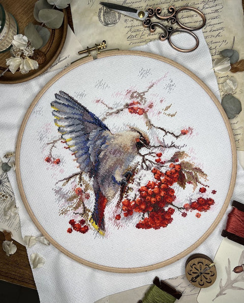 Cross Stitch Embroidery Kit with Waxwing Bird Design, Andriana, 19 × 19.5 cm, Multicolor, Fabric, Threads, Needle, Chart and Instructions