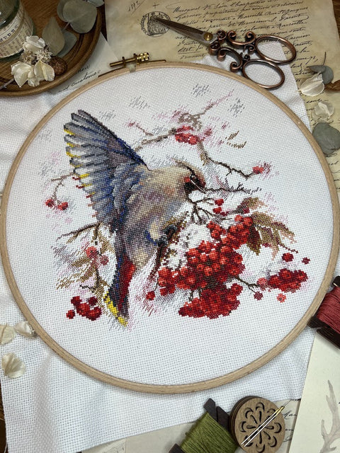 Cross Stitch Embroidery Kit with Waxwing Bird Design, Andriana, 19 × 19.5 cm, Multicolor, Fabric, Threads, Needle, Chart and Instructions
