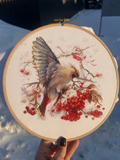 Cross Stitch Embroidery Kit with Waxwing Bird Design, Andriana, 19 × 19.5 cm, Multicolor, Fabric, Threads, Needle, Chart and Instructions