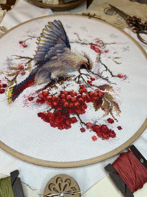 Cross Stitch Embroidery Kit with Waxwing Bird Design, Andriana, 19 × 19.5 cm, Multicolor, Fabric, Threads, Needle, Chart and Instructions