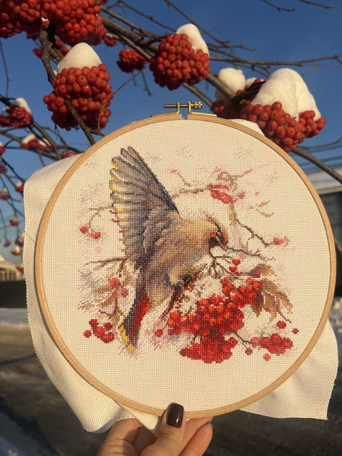 Cross Stitch Embroidery Kit with Waxwing Bird Design, Andriana, 19 × 19.5 cm, Multicolor, Fabric, Threads, Needle, Chart and Instructions