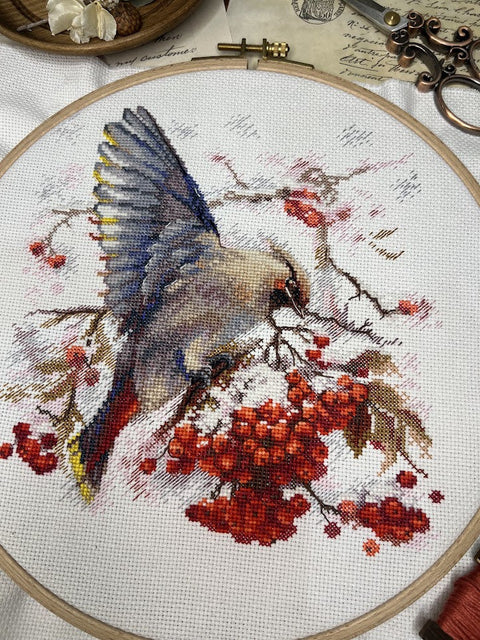 Cross Stitch Embroidery Kit with Waxwing Bird Design, Andriana, 19 × 19.5 cm, Multicolor, Fabric, Threads, Needle, Chart and Instructions