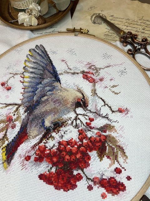 Cross Stitch Embroidery Kit with Waxwing Bird Design, Andriana, 19 × 19.5 cm, Multicolor, Fabric, Threads, Needle, Chart and Instructions