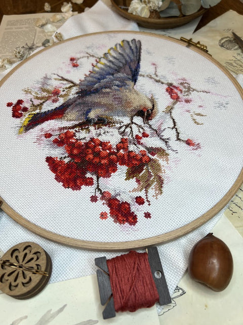 Cross Stitch Embroidery Kit with Waxwing Bird Design, Andriana, 19 × 19.5 cm, Multicolor, Fabric, Threads, Needle, Chart and Instructions