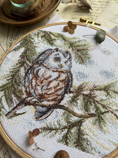 Cross Stitch Embroidery Kit with Owl Design, Beginner-Friendly, 20 × 15 cm, Colorful Aida Fabric, Andriana