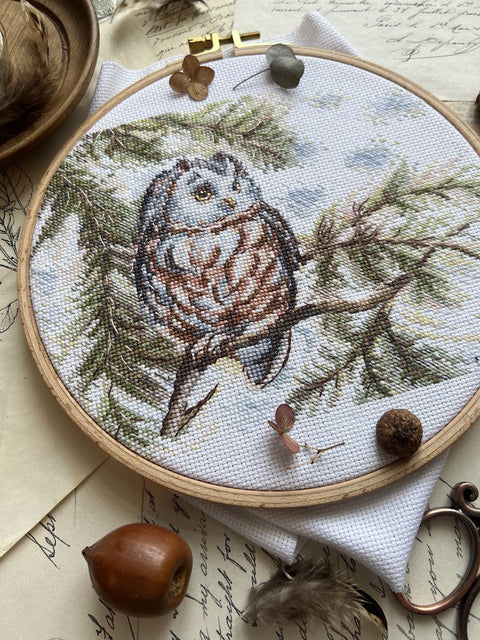 Cross Stitch Embroidery Kit with Owl Design, Beginner-Friendly, 20 × 15 cm, Colorful Aida Fabric, Andriana
