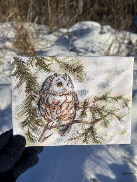 Cross Stitch Embroidery Kit with Owl Design, Beginner-Friendly, 20 × 15 cm, Colorful Aida Fabric, Andriana