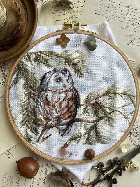 Cross Stitch Embroidery Kit with Owl Design, Beginner-Friendly, 20 × 15 cm, Colorful Aida Fabric, Andriana