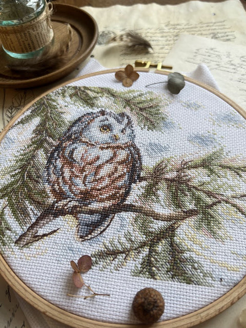 Cross Stitch Embroidery Kit with Owl Design, Beginner-Friendly, 20 × 15 cm, Colorful Aida Fabric, Andriana