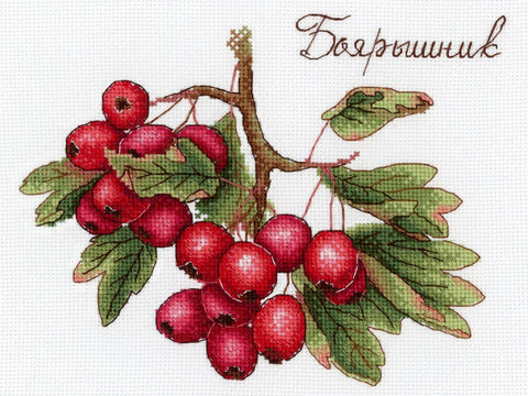 SNV-651 cross stitch kit by MP Studio