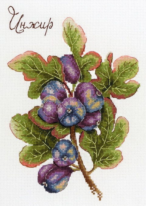 Fig Figs Cross Stitch Kit, Botanical Still Life, Counted Cross Stitch, Cotton Threads, Fabric, Needle and Pattern by MP Studia