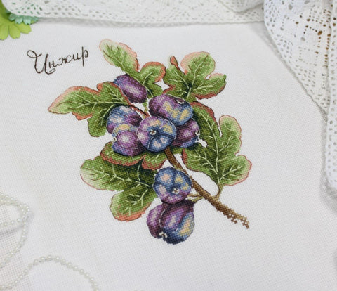 Fig Figs Cross Stitch Kit, Botanical Still Life, Counted Cross Stitch, Cotton Threads, Fabric, Needle and Pattern by MP Studia