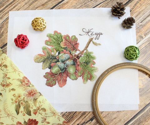 Cross Stitch Kit with Oak Acorn Motif, MP Studia, Aida Fabric, Cotton Threads, Beginner-Friendly Autumn Nature Design