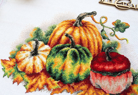 Cross Stitch Embroidery Kit with Colorful Pumpkins, Autumn Theme, MP Studia, Beginner-Friendly Wall Decor Project
