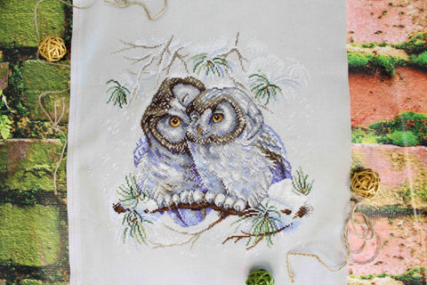 Cross Stitch Kit with Colorful Owl Design for Beginners, MP Studia Embroidery Kit with Canvas, Threads, Needle and Pattern